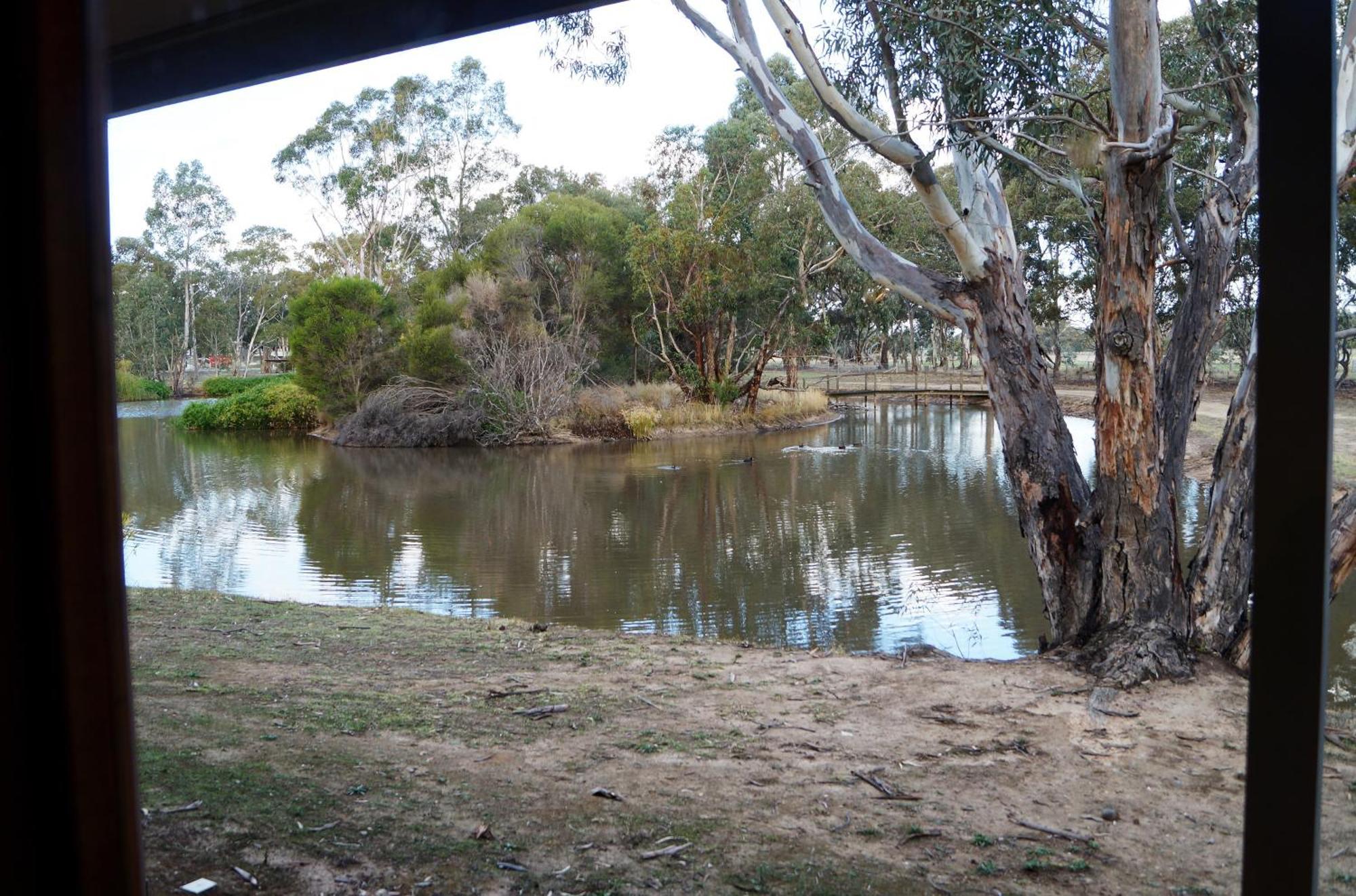 Magdala Motor Lodge & Lakeside Restaurant Stawell Værelse billede