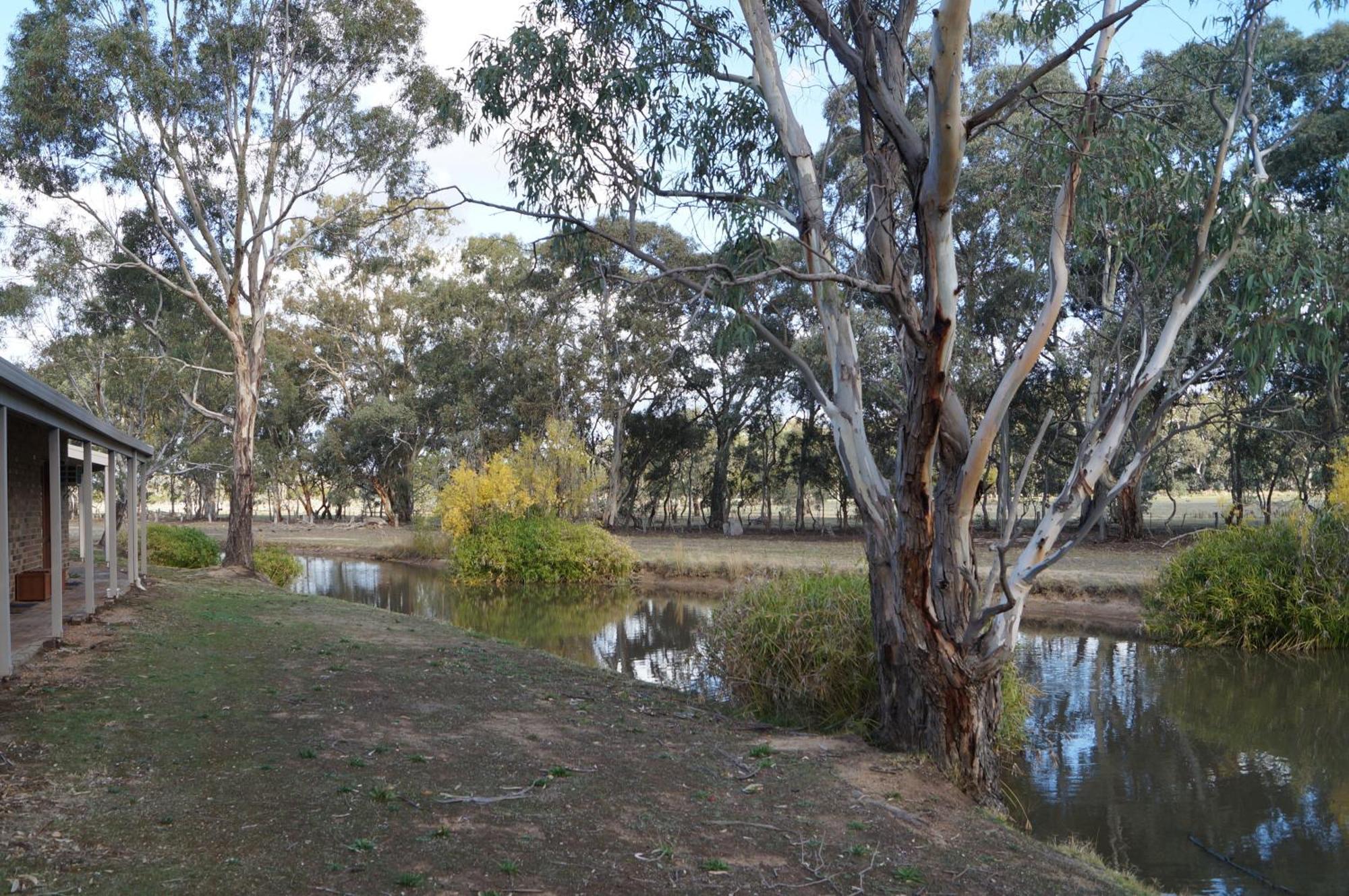 Magdala Motor Lodge & Lakeside Restaurant Stawell Værelse billede