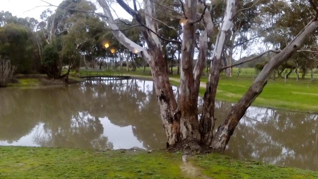 Magdala Motor Lodge & Lakeside Restaurant Stawell Eksteriør billede